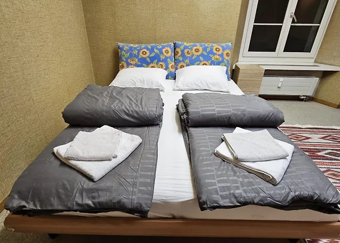 Privat Zimmer, Privat Wc, Shared Dusche In Altstadt Chur, Saturn