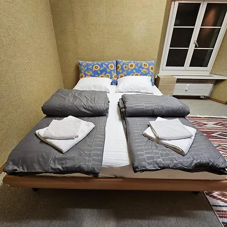 Privat Zimmer, Privat Wc, Shared Dusche In Altstadt Chur, Saturn