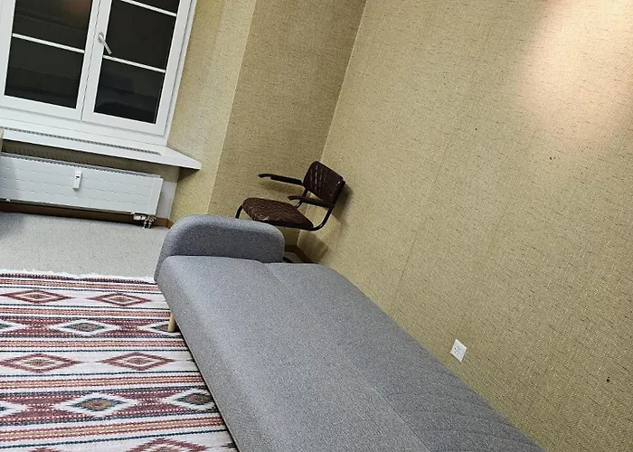 Privat Zimmer, Privat Wc, Shared Dusche In Altstadt Chur, Saturn 게스트하우스